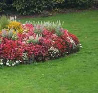 Residential Flower bed maintenance and care by Hemlock Lawn Maintenance